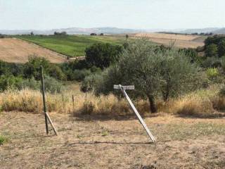 Terreno agricolo all'asta a san giorgio del sannio via cesine