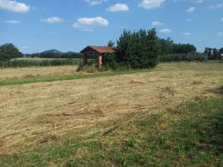 Terreno agricolo in vendita a castiglione del lago via del gioco