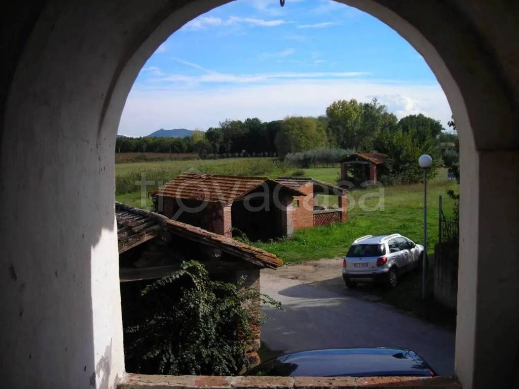 immagine annuncio 3 di 6