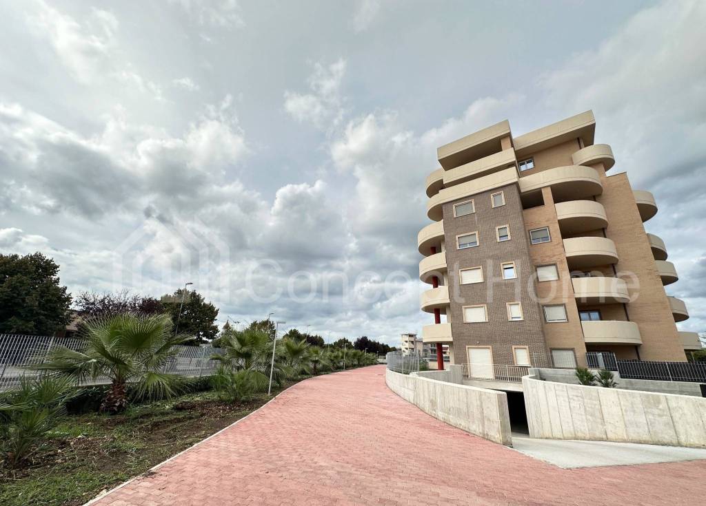 immagine annuncio 4 di 13