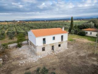 Villa in vendita a bibbona via vecchia aurelia