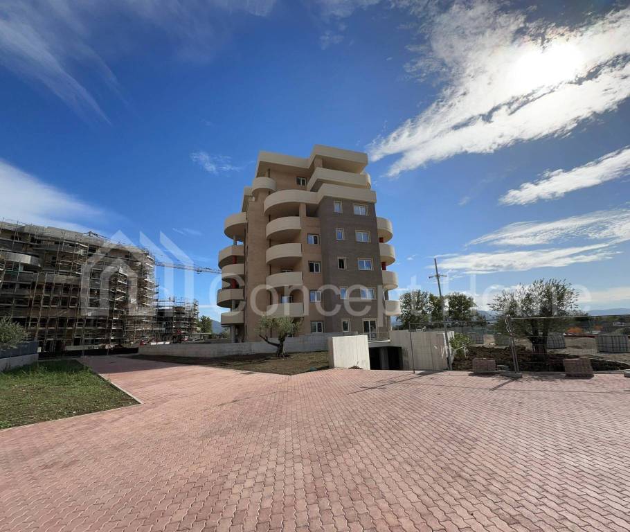 immagine annuncio 5 di 12