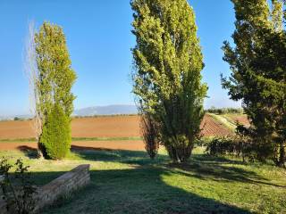 Terreno agricolo in vendita a velletri via colle rosso