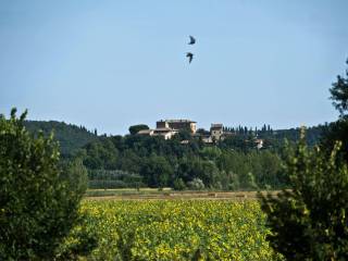 Appartamento in in affitto da privato a marsciano località monticelli