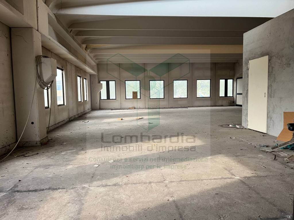 immagine annuncio 3 di 12