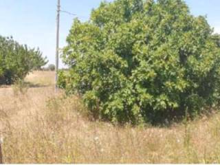 Terreno agricolo all'asta a san donaci via campi – sp 365