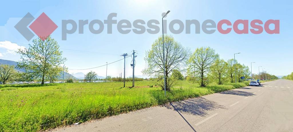 immagine annuncio 2 di 4