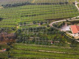 Terreno agricolo in vendita a negrar di valpolicella via colle masua