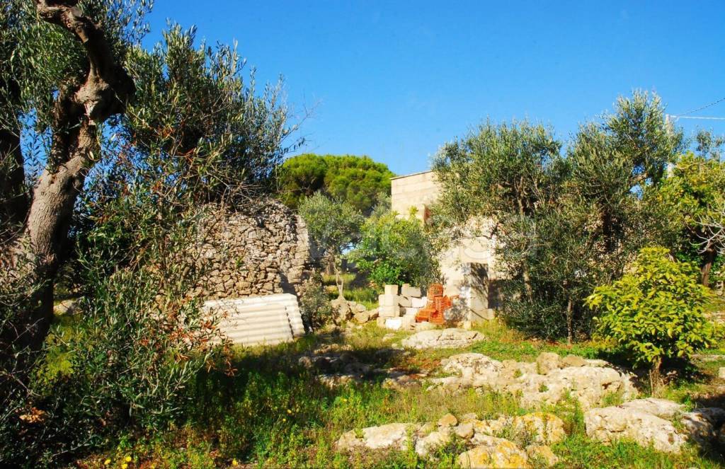 immagine annuncio 10 di 13