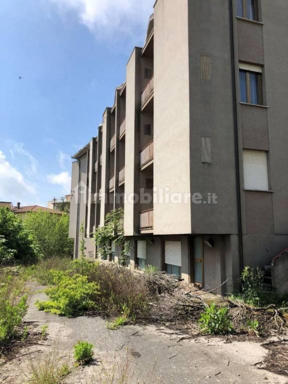 immagine annuncio 9 di 14