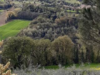 Terreno agricolo all'asta a montegiorgio contrada fusa