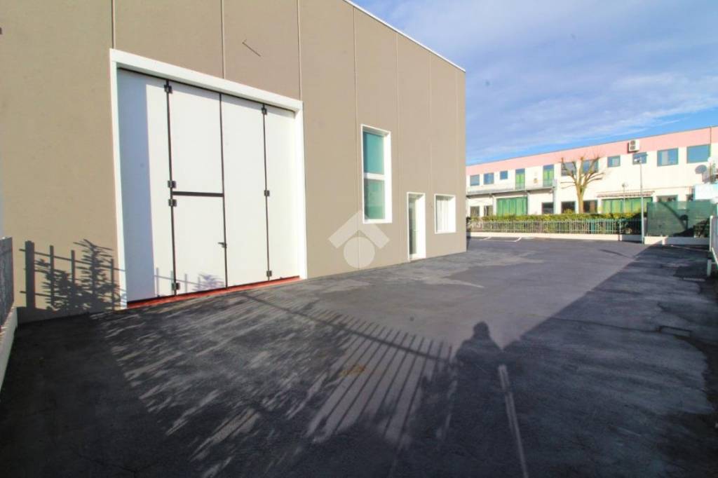 immagine annuncio 11 di 14