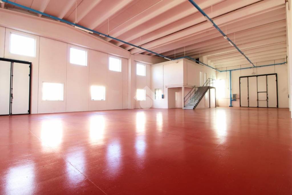 immagine annuncio 1 di 14