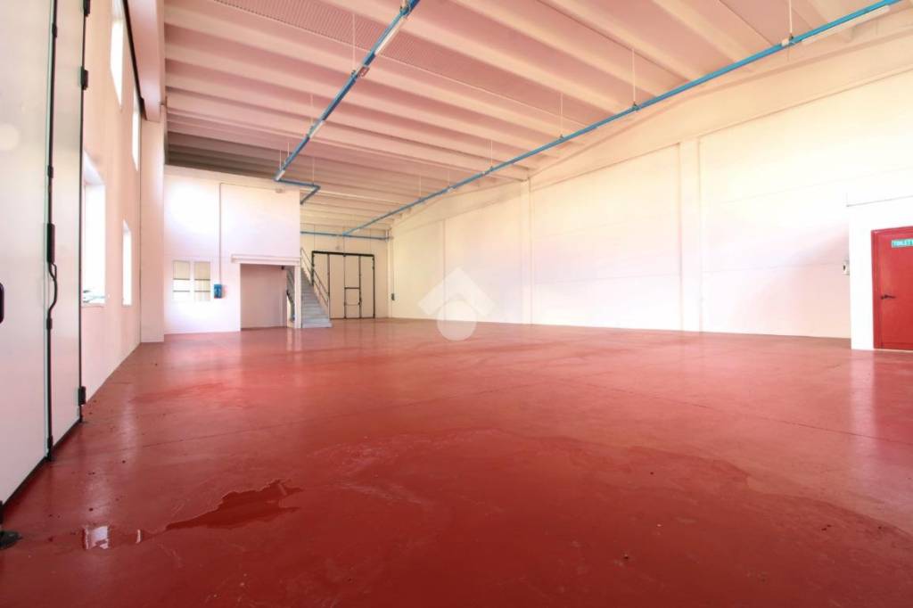 immagine annuncio 2 di 14