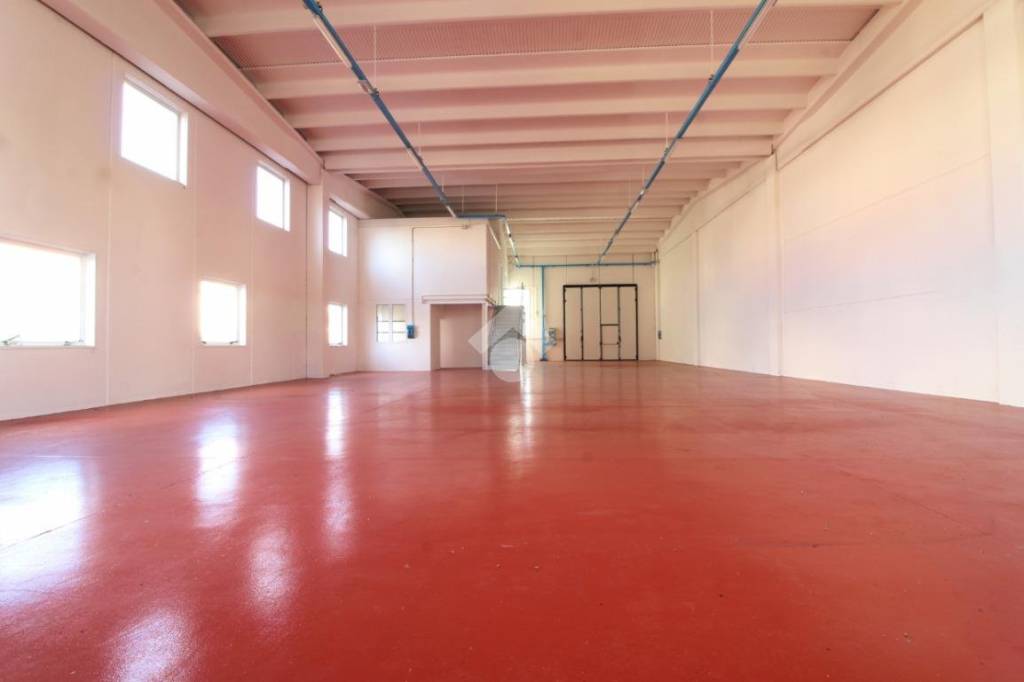 immagine annuncio 3 di 14