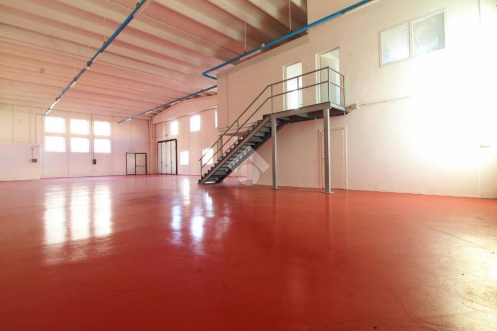 immagine annuncio 4 di 14