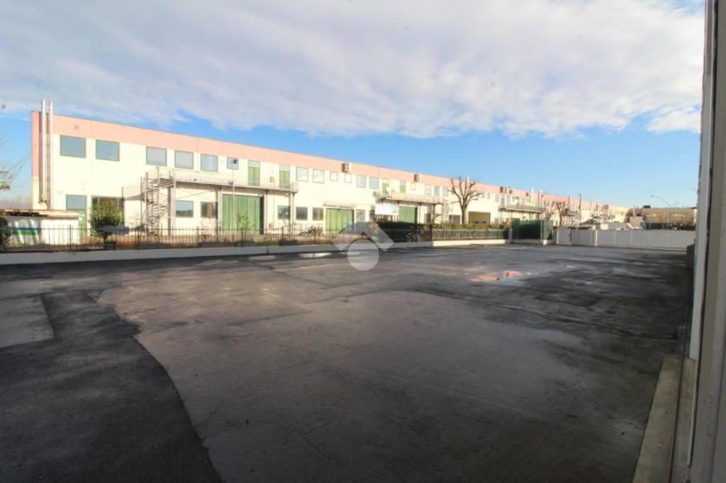 immagine annuncio 13 di 14