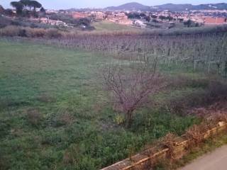 Terreno agricolo in vendita a frascati via san matteo, 8