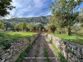 Terreno agricolo in vendita a carini via aldo moro, 12