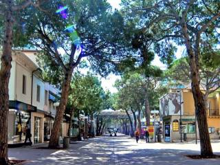 Appartamento in affitto a riccione viale maria ceccarini