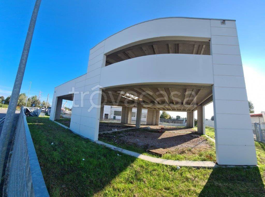 immagine annuncio 1 di 9