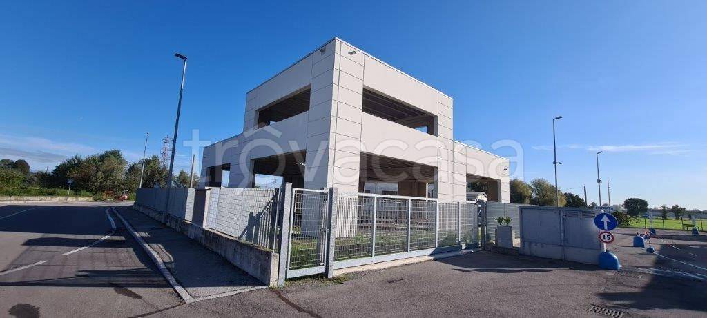 immagine annuncio 3 di 9