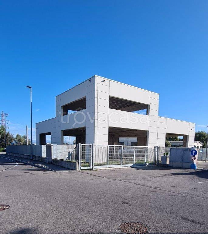 immagine annuncio 5 di 9