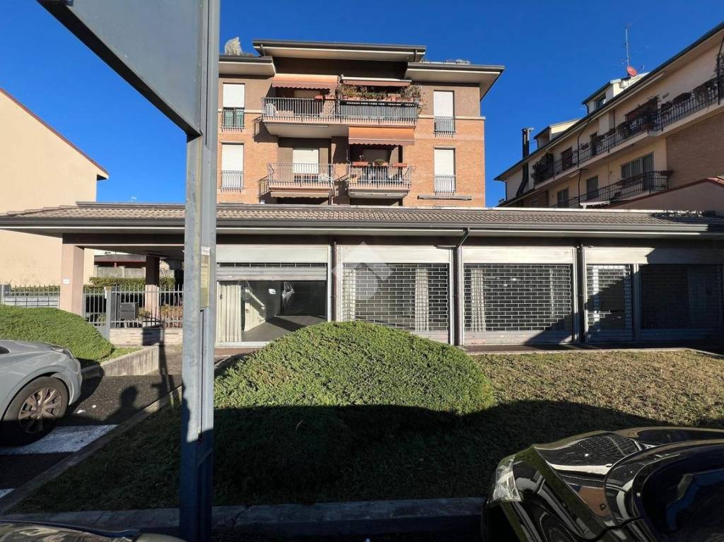 immagine annuncio 12 di 14