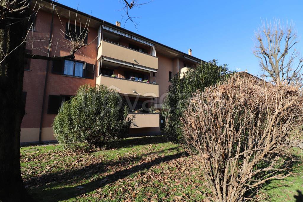 immagine annuncio 5 di 15