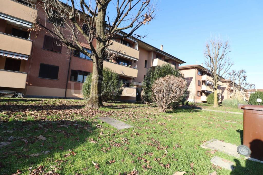 immagine annuncio 6 di 15