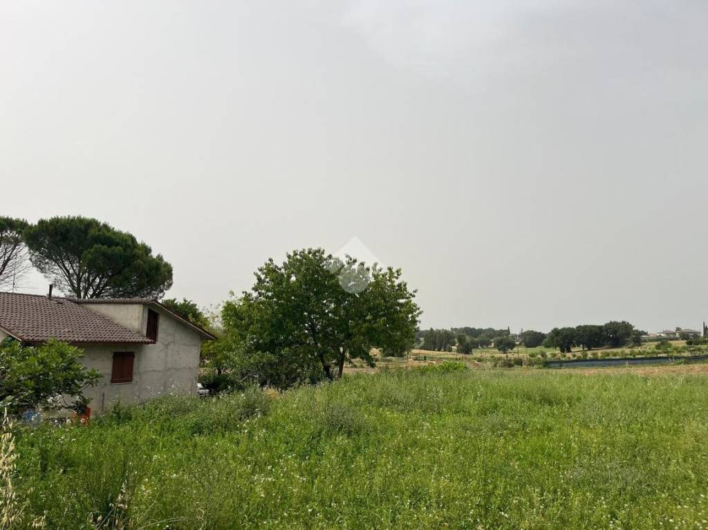 immagine annuncio 8 di 13