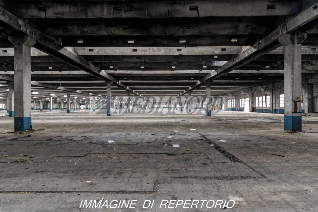 immagine annuncio 4 di 9