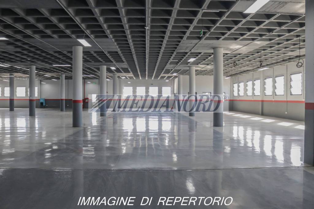 immagine annuncio 2 di 9
