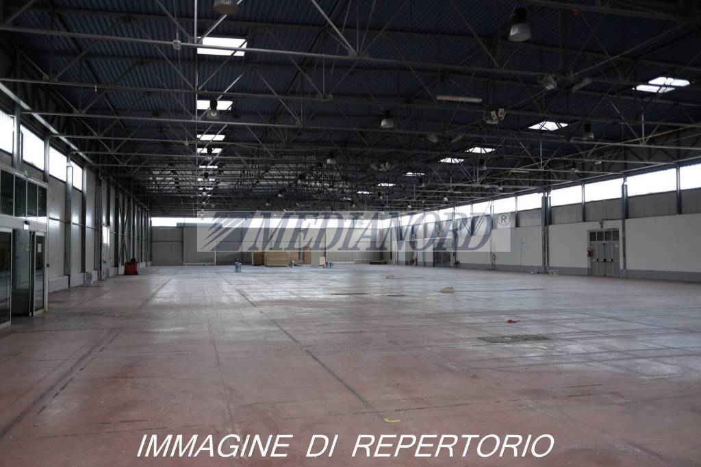 immagine annuncio 3 di 9