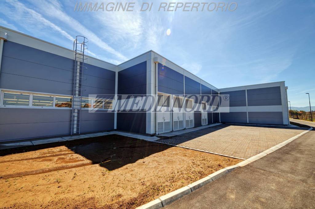 immagine annuncio 5 di 9