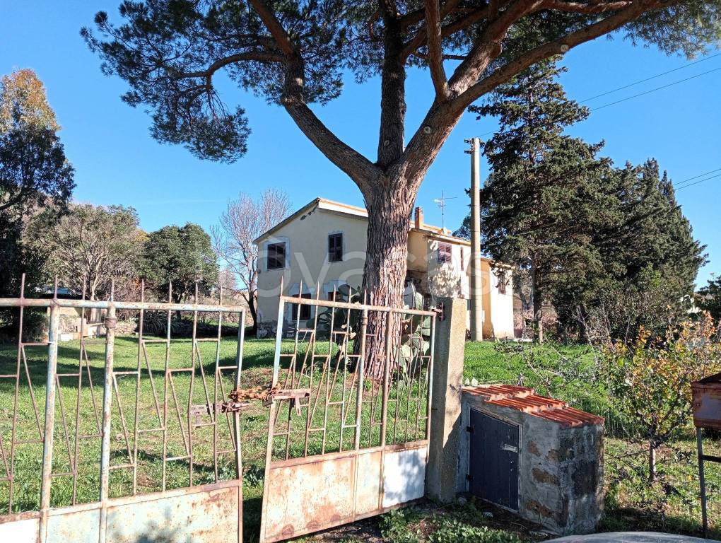 immagine annuncio 5 di 8