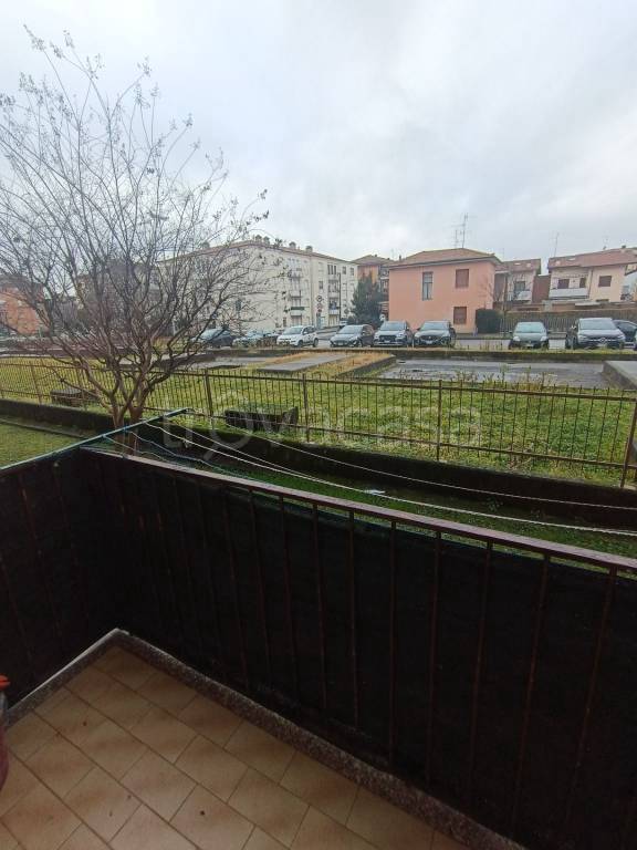 immagine annuncio 12 di 14