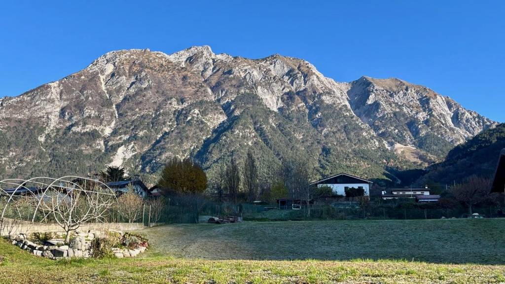 immagine annuncio 5 di 7