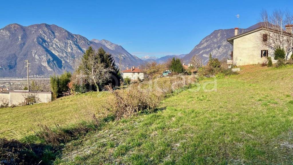immagine annuncio 4 di 7