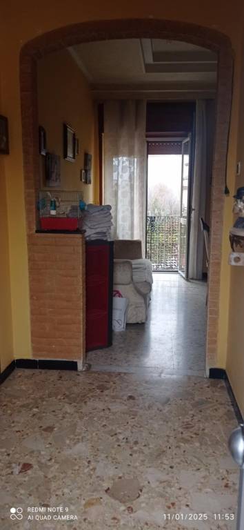 immagine annuncio 6 di 11