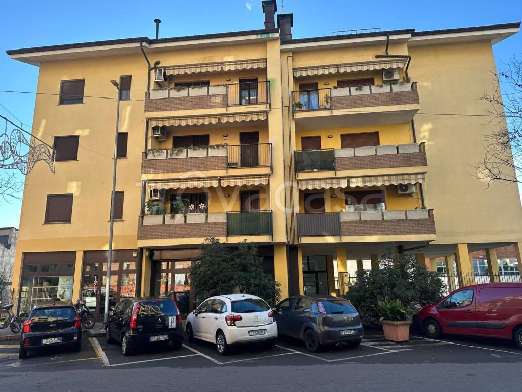 immagine annuncio 1 di 15