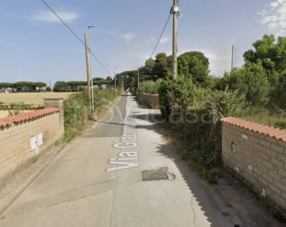 immagine annuncio 2 di 7