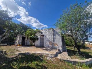 Terreno agricolo in vendita a ostuni contrada san benedetto