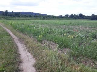 Terreno agricolo all'asta a farra d'isonzo via gradisca