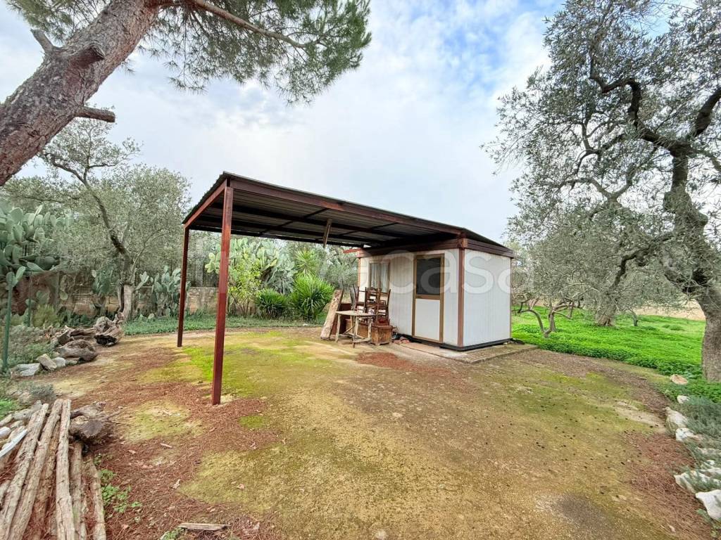 immagine annuncio 2 di 4