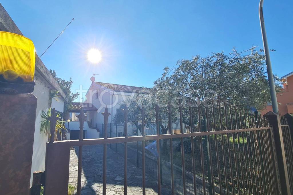 immagine annuncio 6 di 11