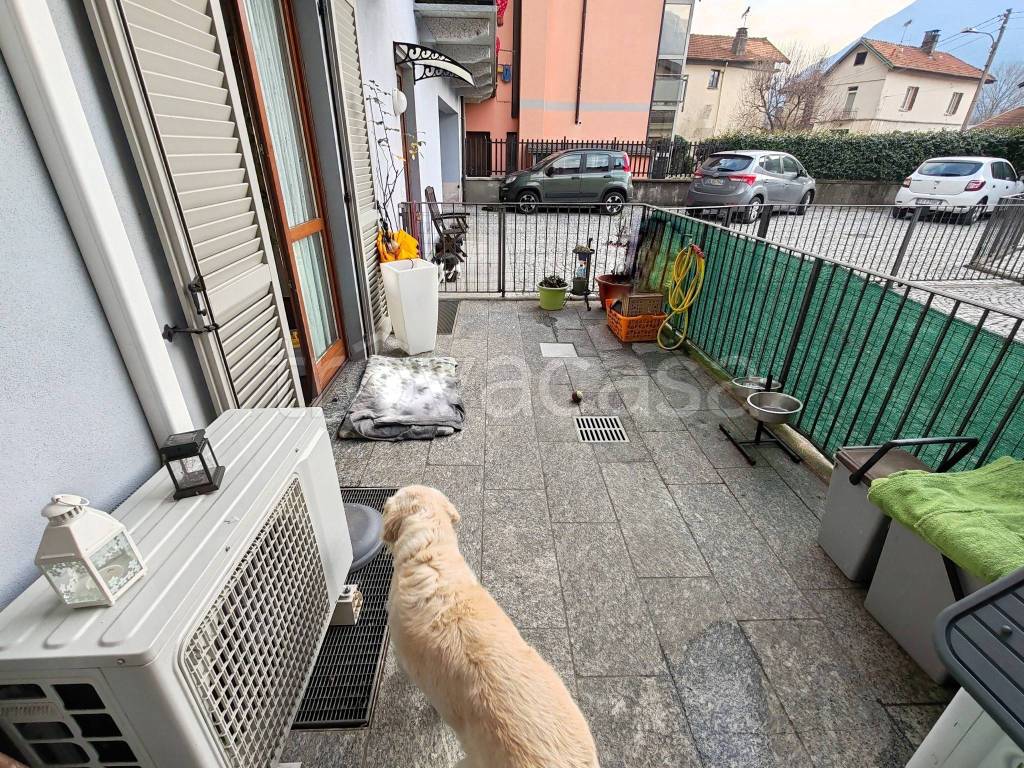 immagine annuncio 12 di 15
