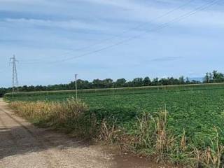 Terreno agricolo all'asta a mereto di tomba strada provinciale