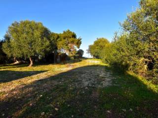 Terreno agricolo in vendita a sassari via diana, snc