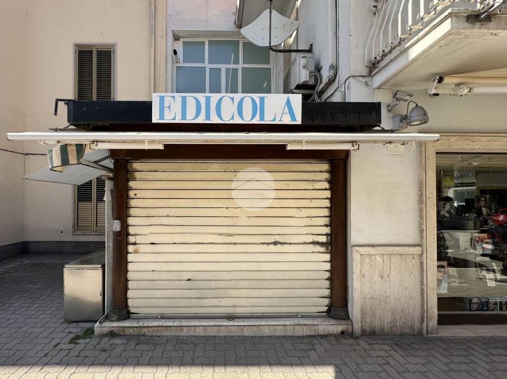 immagine annuncio 3 di 12